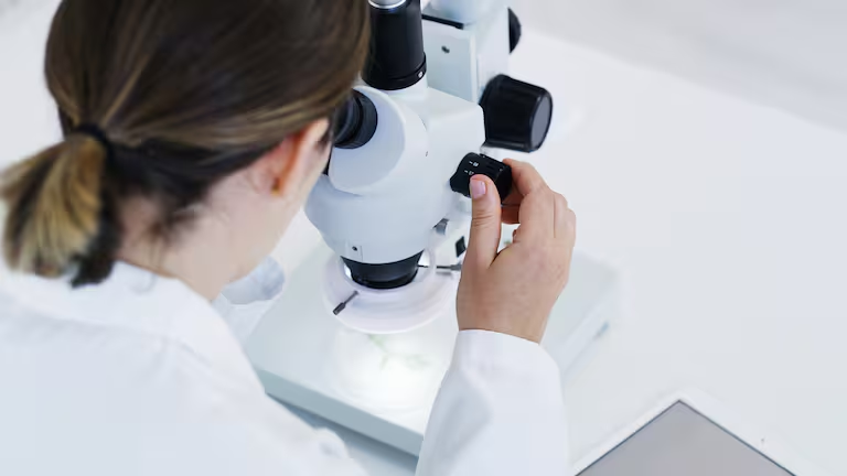 PRENSA – Científicas del CSIC lideran ‘Manuela’, un proyecto sobre alimentación, microbiota y salud de las mujeres en España