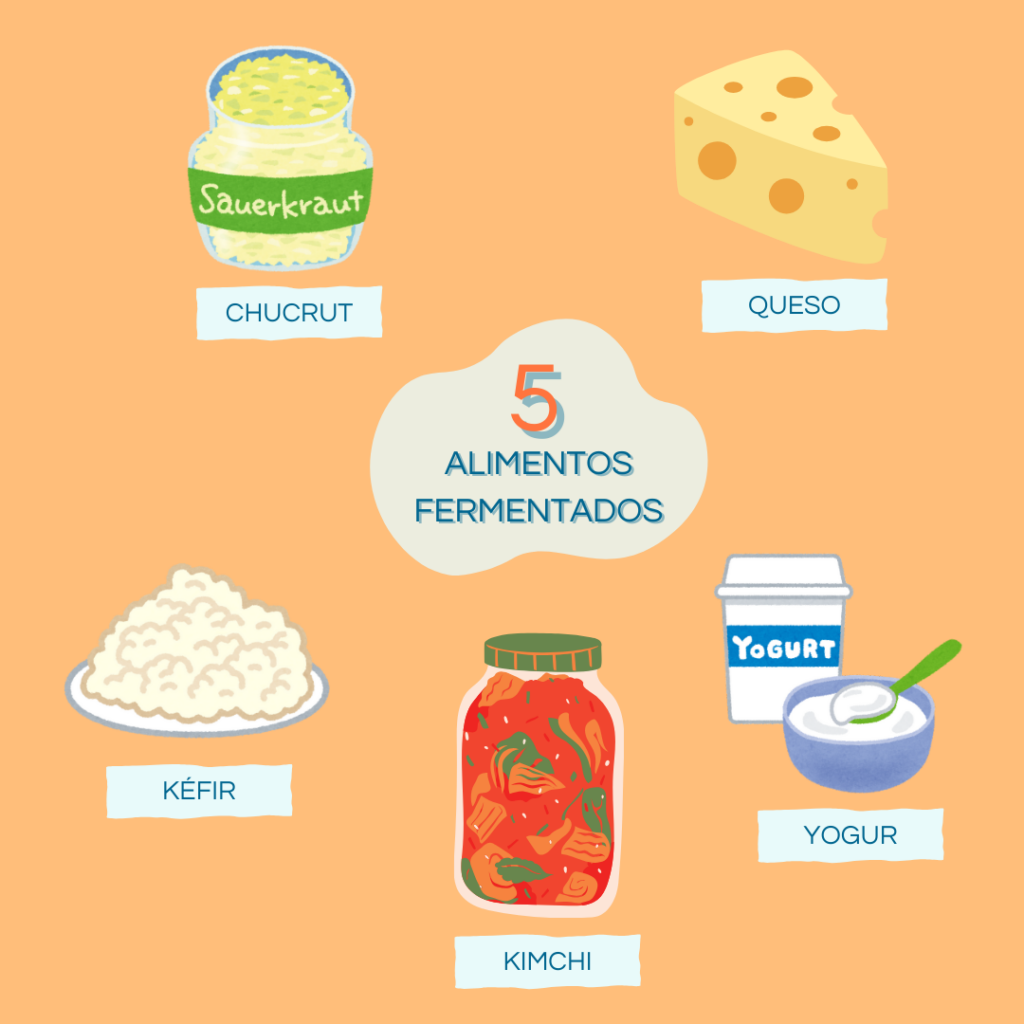 5 alimentos fermentados 1
